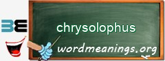 WordMeaning blackboard for chrysolophus